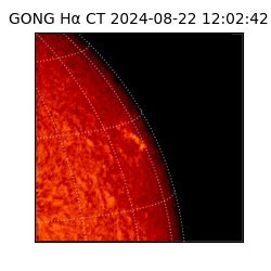 gong - 2024-08-22T12:02:42