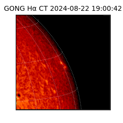 gong - 2024-08-22T19:00:42