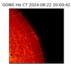 gong - 2024-08-22T20:00:42