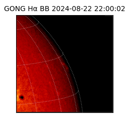 gong - 2024-08-22T22:00:02