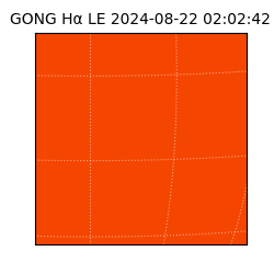 gong - 2024-08-22T02:02:42