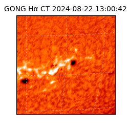 gong - 2024-08-22T13:00:42