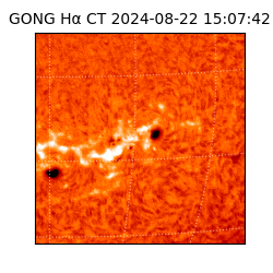 gong - 2024-08-22T15:07:42