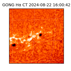 gong - 2024-08-22T16:00:42