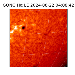 gong - 2024-08-22T04:08:42