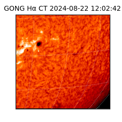 gong - 2024-08-22T12:02:42