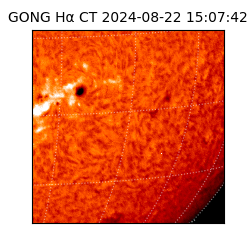 gong - 2024-08-22T15:07:42