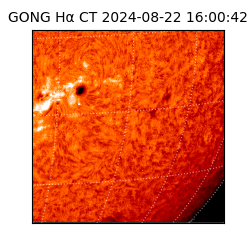 gong - 2024-08-22T16:00:42