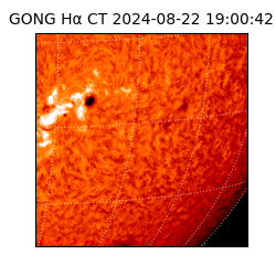 gong - 2024-08-22T19:00:42