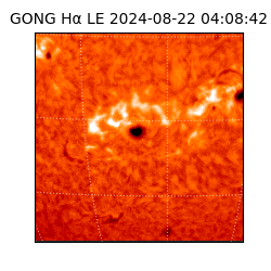 gong - 2024-08-22T04:08:42