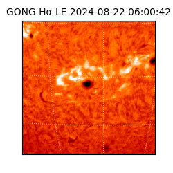 gong - 2024-08-22T06:00:42