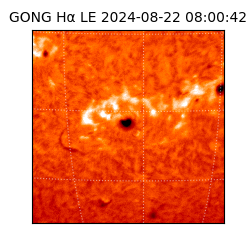 gong - 2024-08-22T08:00:42