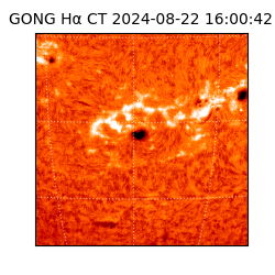 gong - 2024-08-22T16:00:42