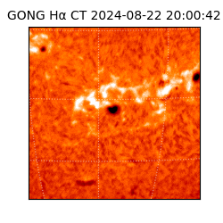 gong - 2024-08-22T20:00:42