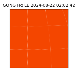 gong - 2024-08-22T02:02:42