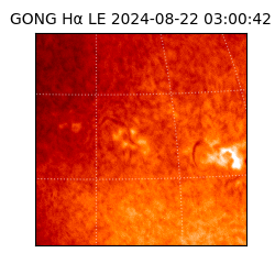 gong - 2024-08-22T03:00:42