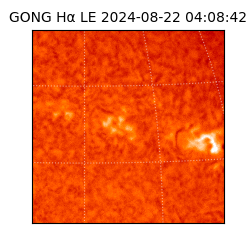 gong - 2024-08-22T04:08:42