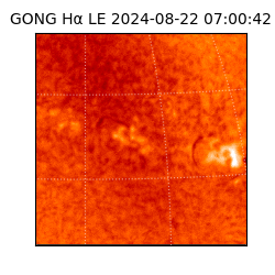 gong - 2024-08-22T07:00:42