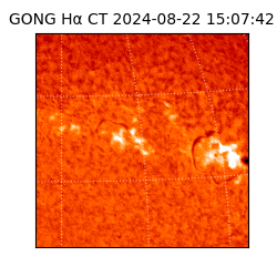 gong - 2024-08-22T15:07:42