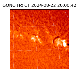 gong - 2024-08-22T20:00:42