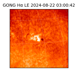 gong - 2024-08-22T03:00:42