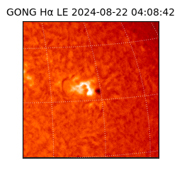 gong - 2024-08-22T04:08:42