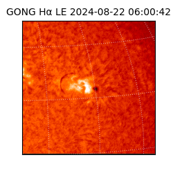 gong - 2024-08-22T06:00:42