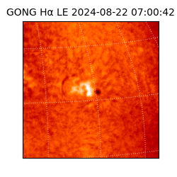 gong - 2024-08-22T07:00:42
