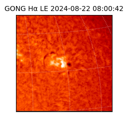 gong - 2024-08-22T08:00:42