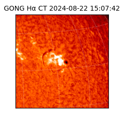 gong - 2024-08-22T15:07:42