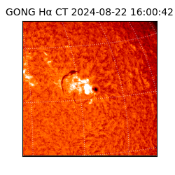 gong - 2024-08-22T16:00:42