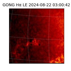 gong - 2024-08-22T03:00:42