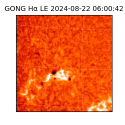 gong - 2024-08-22T06:00:42