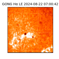 gong - 2024-08-22T07:00:42