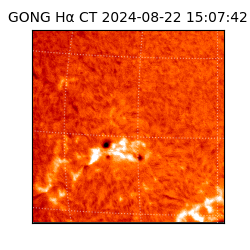 gong - 2024-08-22T15:07:42