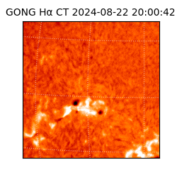 gong - 2024-08-22T20:00:42