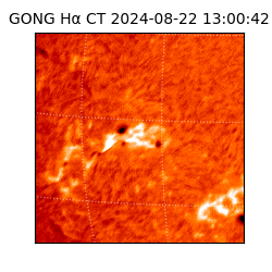 gong - 2024-08-22T13:00:42