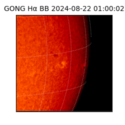 gong - 2024-08-22T01:00:02