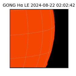 gong - 2024-08-22T02:02:42