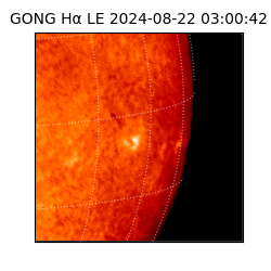 gong - 2024-08-22T03:00:42
