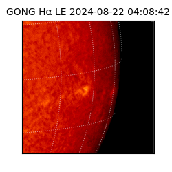 gong - 2024-08-22T04:08:42