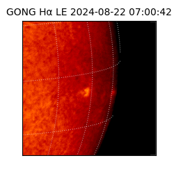 gong - 2024-08-22T07:00:42