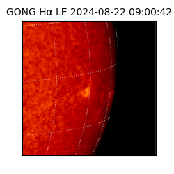 gong - 2024-08-22T09:00:42