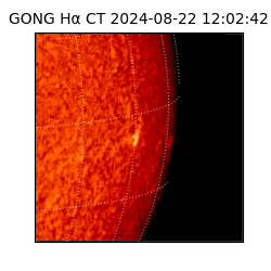 gong - 2024-08-22T12:02:42