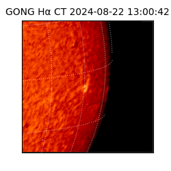 gong - 2024-08-22T13:00:42