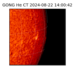 gong - 2024-08-22T14:00:42