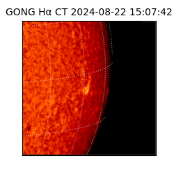 gong - 2024-08-22T15:07:42