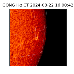 gong - 2024-08-22T16:00:42