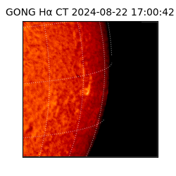 gong - 2024-08-22T17:00:42