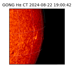 gong - 2024-08-22T19:00:42